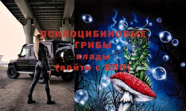 шишки Зеленокумск