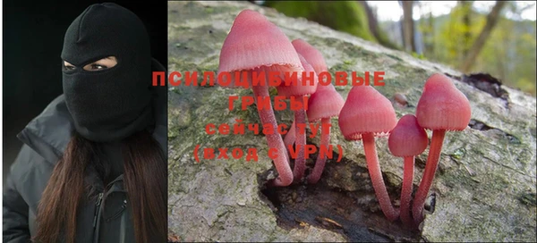 бутират Зеленодольск