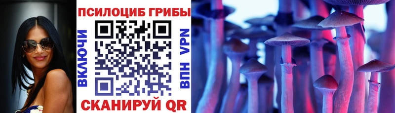 Псилоцибиновые грибы Cubensis Купить закладки Гай