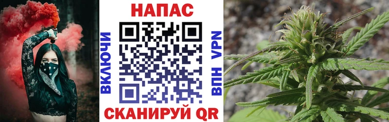 Марихуана семена Купить Гай